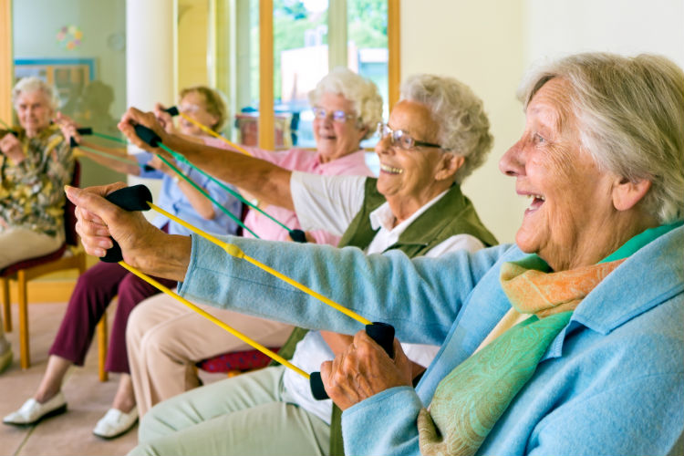 Dementia Care / Alzheimer Care Service Dementia Care / Alzheimer Care Service
